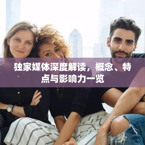 独家媒体深度解读，概念、特点与影响力一览