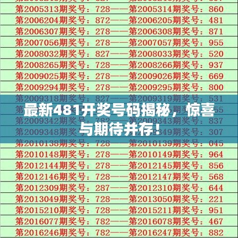 最新481开奖号码揭秘，惊喜与期待并存！