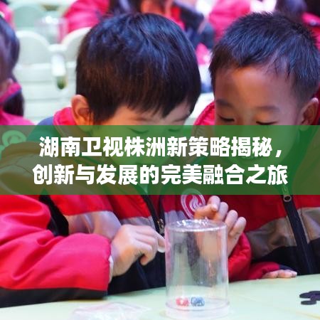 湖南卫视株洲新策略揭秘，创新与发展的完美融合之旅