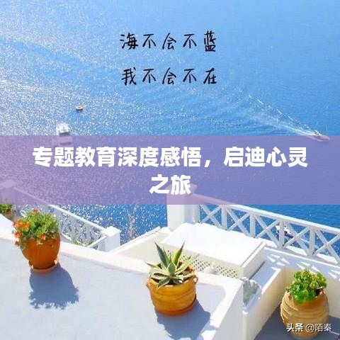 专题教育深度感悟，启迪心灵之旅
