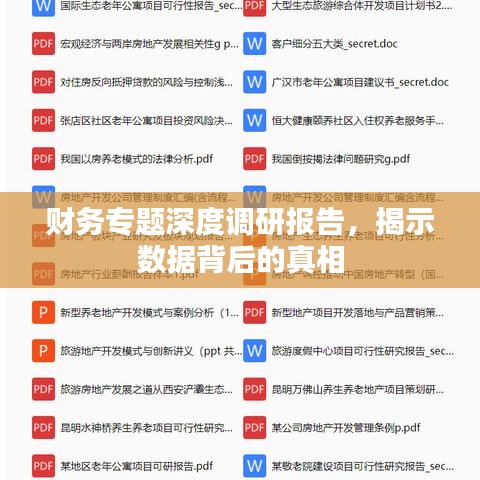 财务专题深度调研报告，揭示数据背后的真相