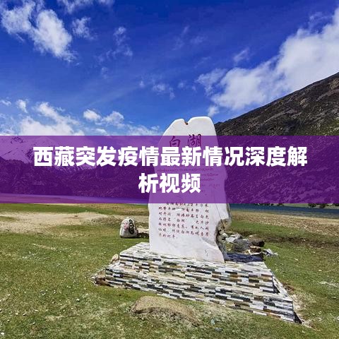 西藏突发疫情最新情况深度解析视频