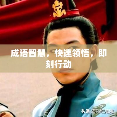 成语智慧，快速领悟，即刻行动