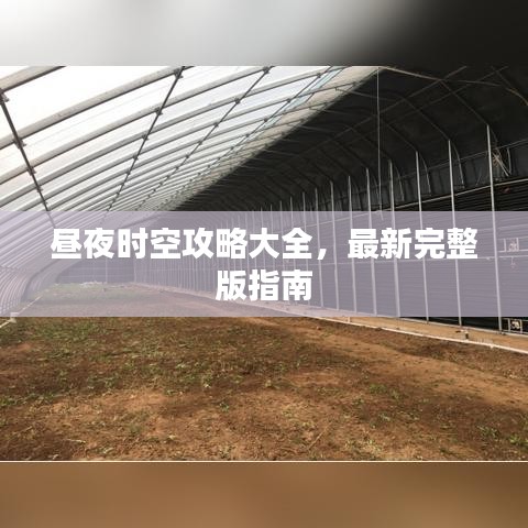 昼夜时空攻略大全，最新完整版指南