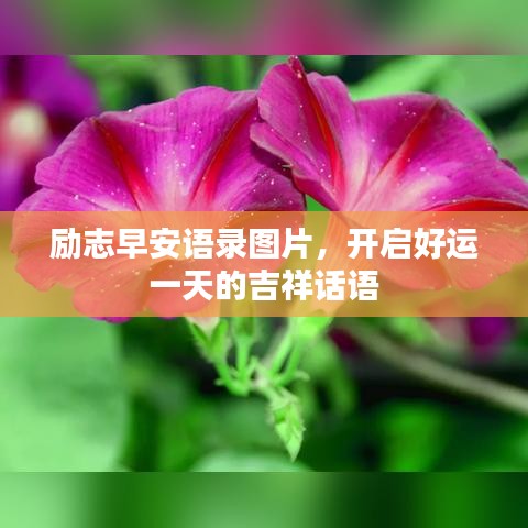 励志早安语录图片，开启好运一天的吉祥话语
