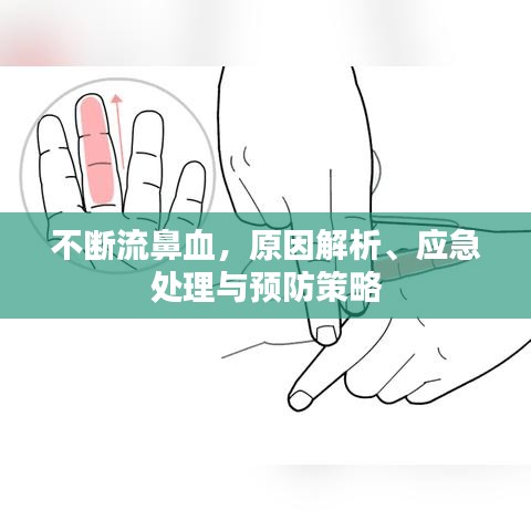 不断流鼻血，原因解析、应急处理与预防策略