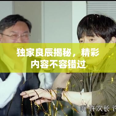 独家良辰揭秘，精彩内容不容错过