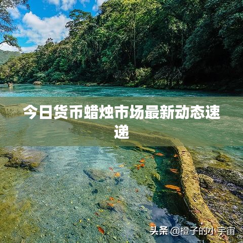 今日货币蜡烛市场最新动态速递