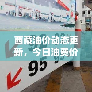 2025年5月29日