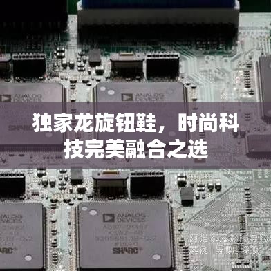 2025年6月 第76页