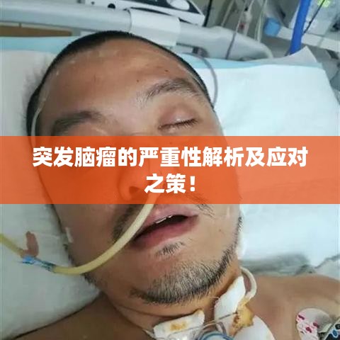 雍荣闲雅