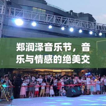 郑润泽音乐节，音乐与情感的绝美交融盛宴