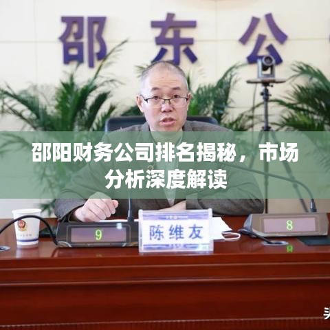 邵阳财务公司排名揭秘，市场分析深度解读