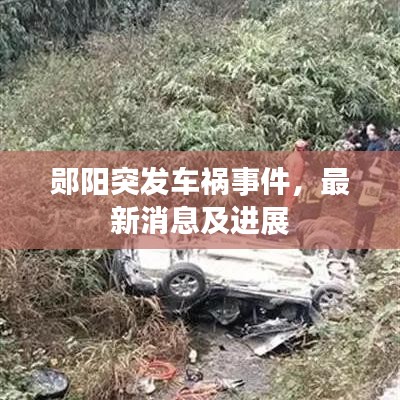 郧阳突发车祸事件，最新消息及进展