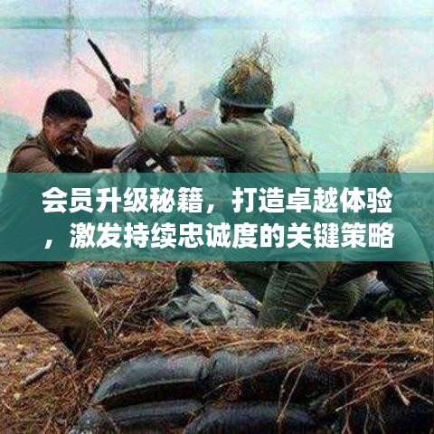 随方就圆