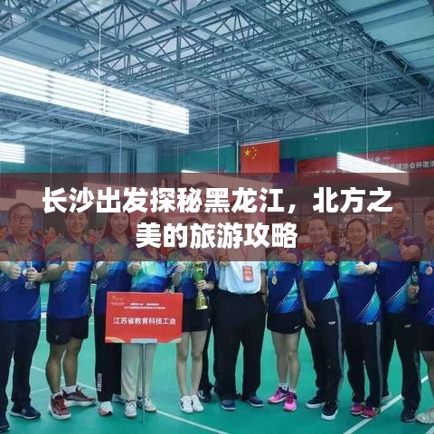 办公椅 第4页