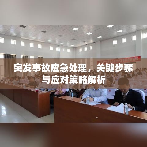 突发事故应急处理，关键步骤与应对策略解析