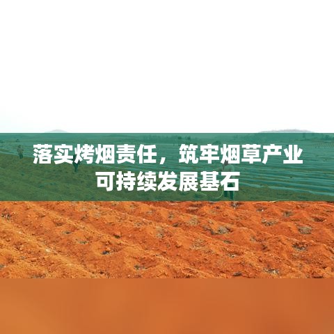落实烤烟责任，筑牢烟草产业可持续发展基石