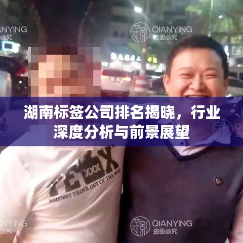 湖南标签公司排名揭晓，行业深度分析与前景展望