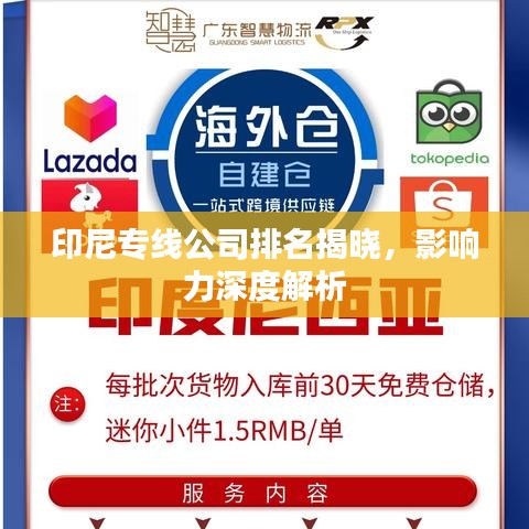 印尼专线公司排名揭晓，影响力深度解析