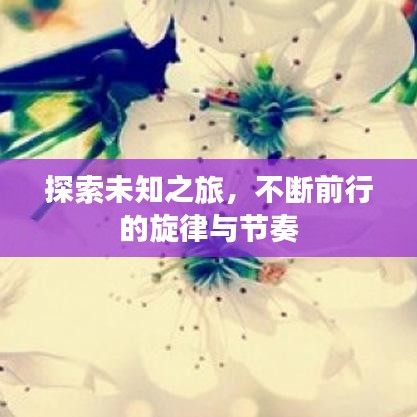 探索未知之旅，不断前行的旋律与节奏