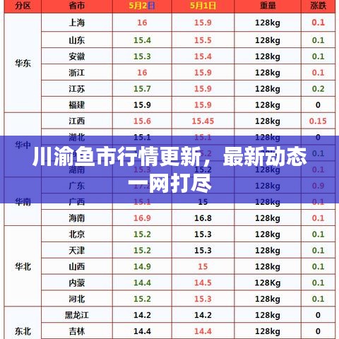 川渝鱼市行情更新，最新动态一网打尽