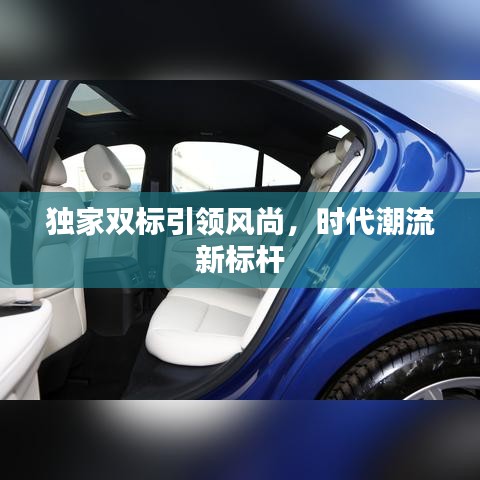 独家双标引领风尚，时代潮流新标杆