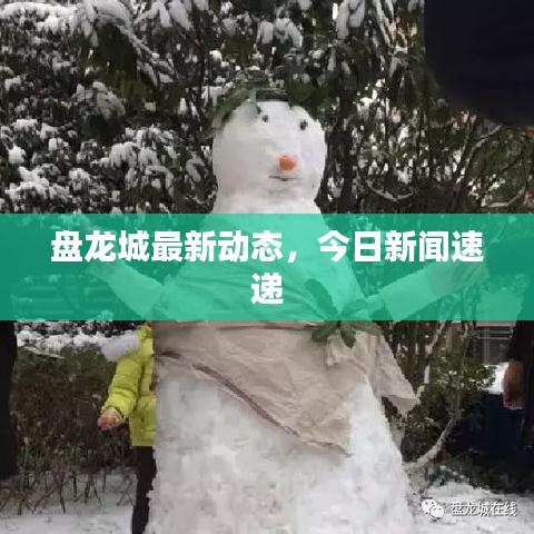 盘龙城最新动态，今日新闻速递