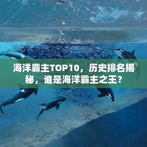 海洋霸主TOP10，历史排名揭秘，谁是海洋霸主之王？