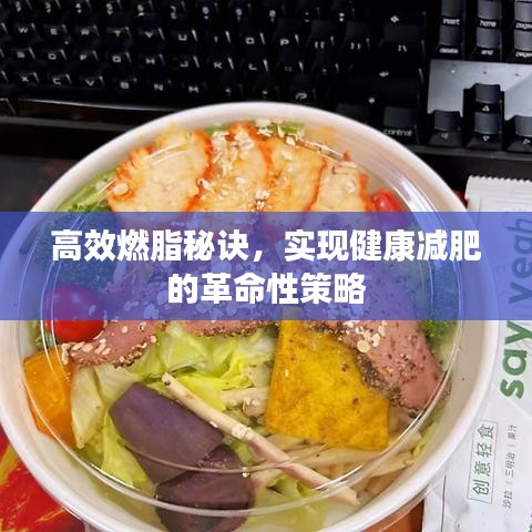 高效燃脂秘诀，实现健康减肥的革命性策略