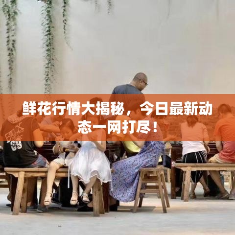 鲜花行情大揭秘，今日最新动态一网打尽！