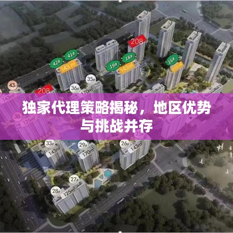 独家代理策略揭秘，地区优势与挑战并存