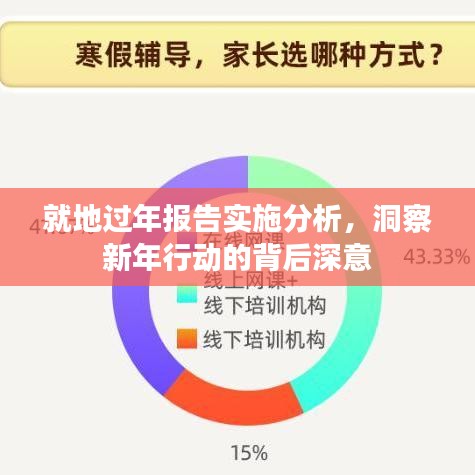 就地过年报告实施分析，洞察新年行动的背后深意