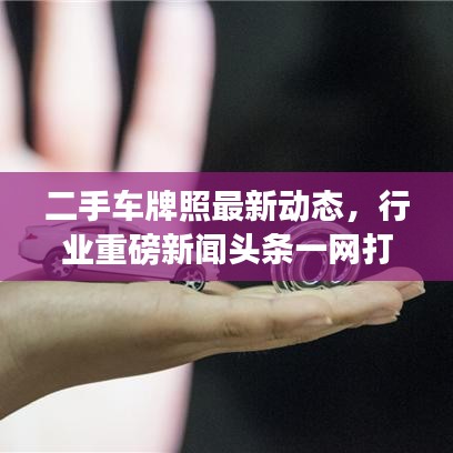 二手车牌照最新动态，行业重磅新闻头条一网打尽！