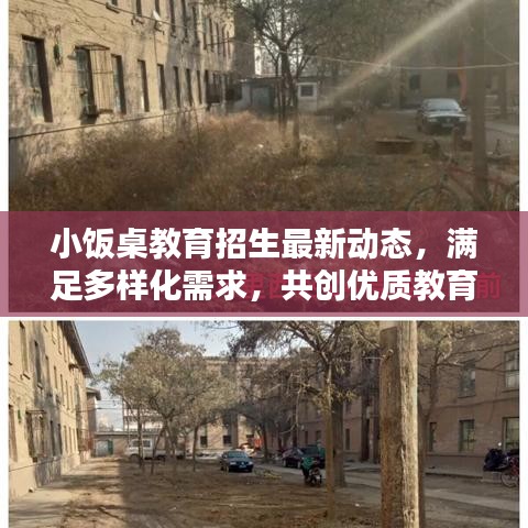 小饭桌教育招生最新动态，满足多样化需求，共创优质教育新生态