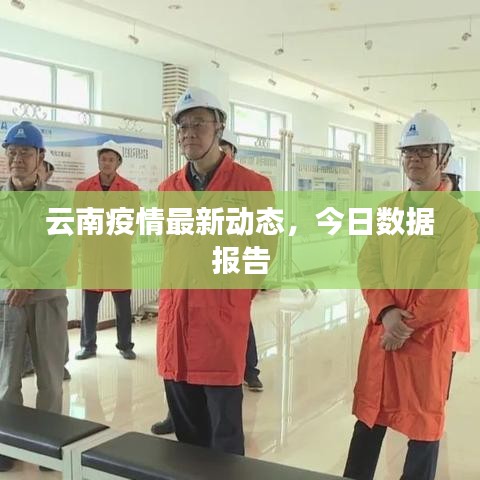 云南疫情最新动态，今日数据报告