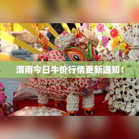 渭南今日牛价行情更新通知！
