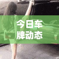 今日车牌动态更新，最新消息汇总
